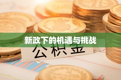 协助新政下的机遇与挑战