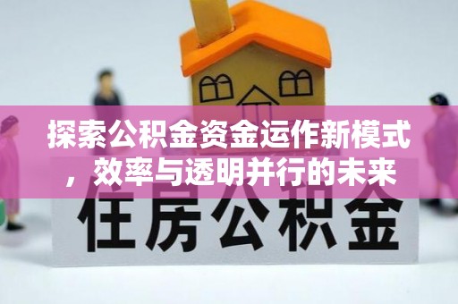 协助探索公积金资金运作新模式，效率与透明并行的未来