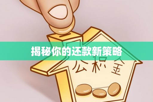 协助揭秘你的还款新策略