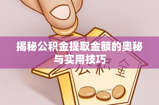 协助揭秘公积金提取金额的奥秘与实用技巧