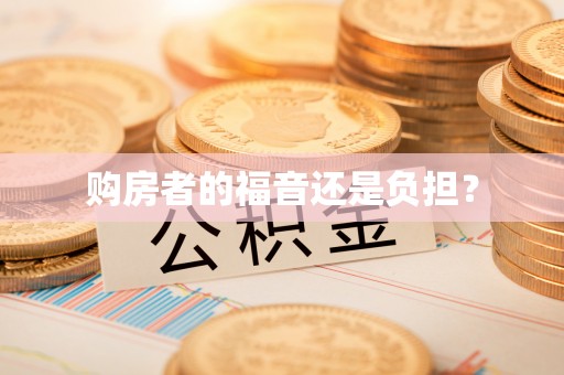 协助购房者的福音还是负担？