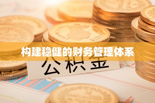 协助构建稳健的财务管理体系