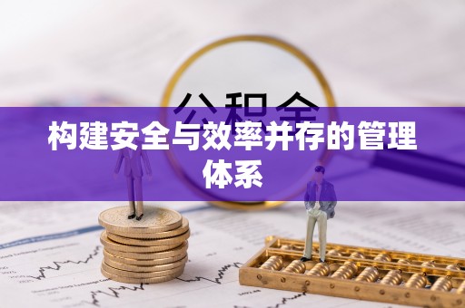 协助构建安全与效率并存的管理体系