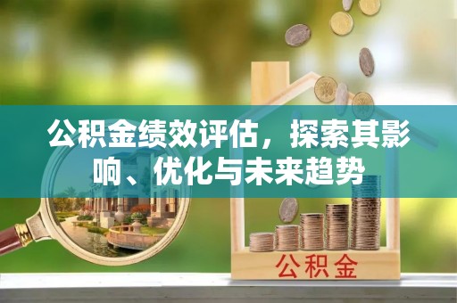 协助公积金绩效评估，探索其影响、优化与未来趋势