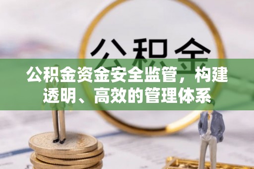 协助公积金资金安全监管，构建透明、高效的管理体系