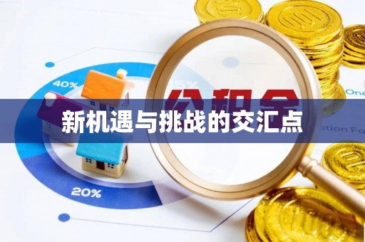 协助新机遇与挑战的交汇点