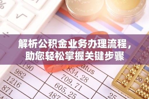 协助解析公积金业务办理流程，助您轻松掌握关键步骤