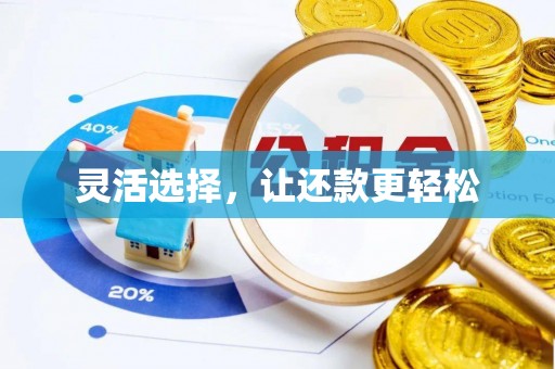 协助灵活选择，让还款更轻松