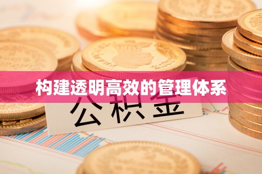 协助构建透明高效的管理体系