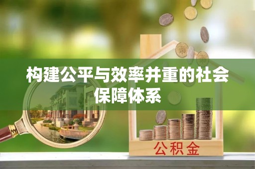 协助构建公平与效率并重的社会保障体系