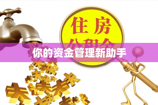 协助你的资金管理新助手