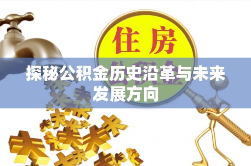 协助探秘公积金历史沿革与未来发展方向