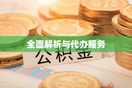 协助全面解析与代办服务