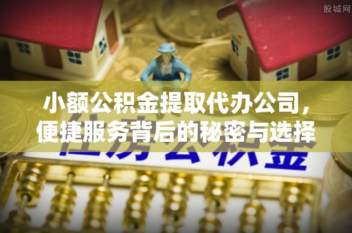 协助小额公积金提取代办公司，便捷服务背后的秘密与选择指南