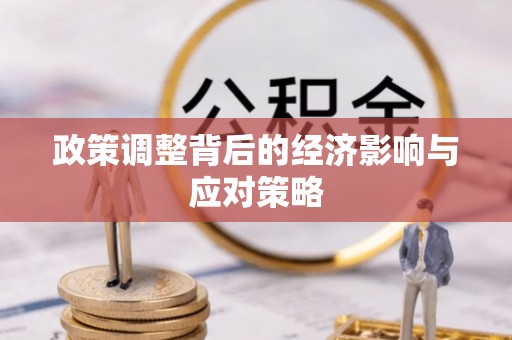 协助政策调整背后的经济影响与应对策略