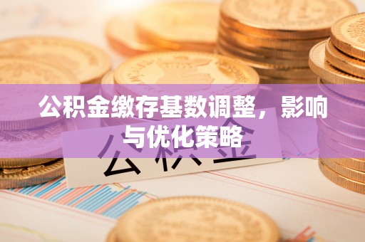 协助公积金缴存基数调整，影响与优化策略