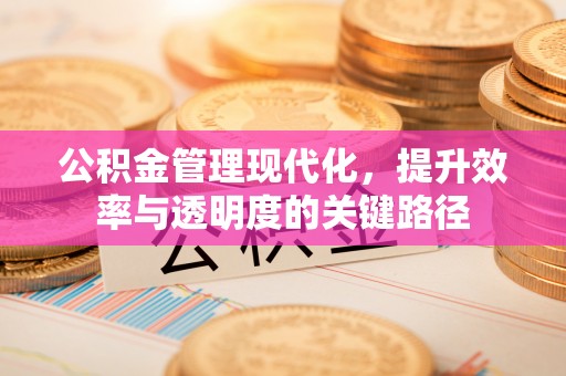 协助公积金管理现代化，提升效率与透明度的关键路径