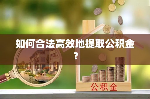 协助如何合法高效地提取公积金？