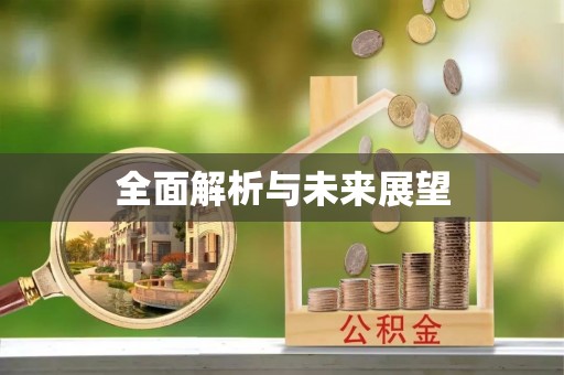 协助全面解析与未来展望