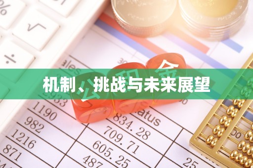 协助机制、挑战与未来展望