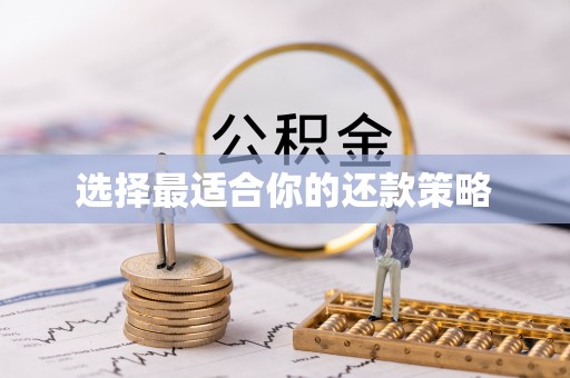 协助选择最适合你的还款策略