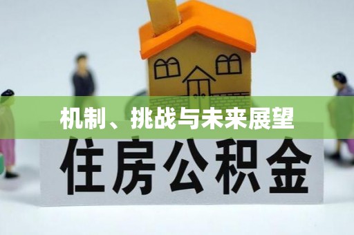 协助机制、挑战与未来展望